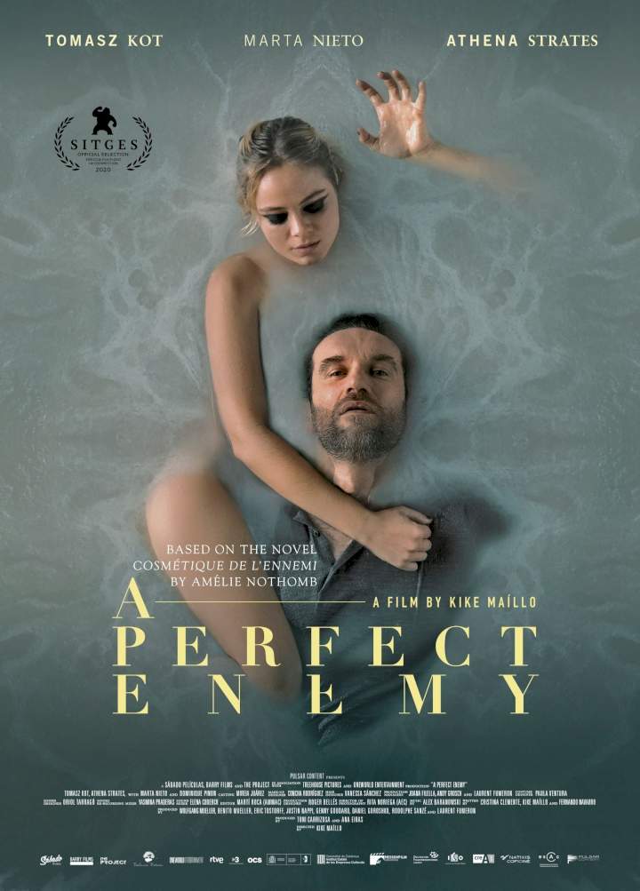 A Perfect Enemy (2021)